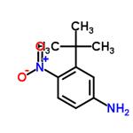 3-tert-Butyl-4-nitroaniline