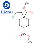 1-(2-CHLOROETHYL)CYCLOHEXANE-1,4-DICARBOXYLIC ACID DIMETHYL ESTER