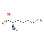 D-Lysine