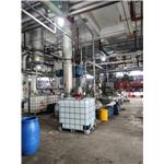 Dodecyl Methacrylate