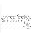 Amphotericin B Impurity D
