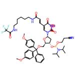 Amino-Modifier C6 dT