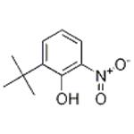 2-(tert-Butyl)-6-nitrophenol