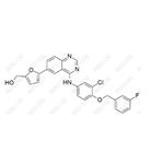 Lapatinib Impurity13