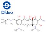 (4S,4aS,5aR,12aS)-4,7-Bis(dimethylamino)-9-[[(2,2-dimethylpropyl)methylamino]methyl]-1,4,4a,5,5a,6,11,12a-octahydro-3,10,12,12a-tetrahydroxy-1,11-dioxo-2-naphthacenecarboxamide