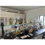 Dodecyl Methacrylate