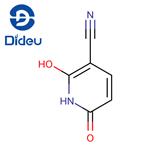 2,6-dihydroxy-3-cyanopyridine