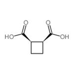CIS-CYCLOBUTANE-1,2-DICARBOXYLIC ACID