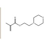 2-morpholinoethyl methacrylate pictures