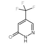 5-Trifluoromethyl-2H-pyridazine-3-one