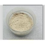 6-bromonaphthalen-2-amine