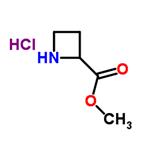 Methyl azetidine-2-carboxylate hydrochloride