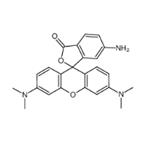 6-Aminotetramethylrhodamine