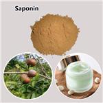 Saponin
