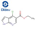 ethyl 4-chloro-1H-pyrrolo[2,3-b]pyridine-5-carboxylate