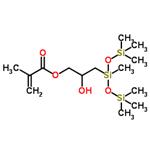 N-(3-METHACRYLOXY-2-HYDROXYPROPYL)-3-AMINOPROPYLTRIETHOXYSILANE: 50 IN ETHANOL