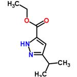 Ethyl5-isopropylpyrazole-3-carboxylate