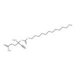 4-Cyano-4-[[(dodecylthio)carbonothioyl]thio]pentanoic Acid