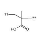 Polymethacrylic Acid