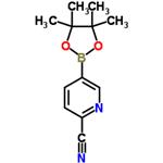 2-Cyanopyridine-5-boronic acid pinacol ester