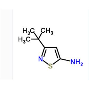 3-(2-Methyl-2-propanyl)-1,2-thiazol-5-amine