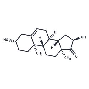 16α-hydroxy Dehydroepiandrosterone