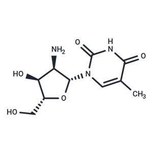 2'-Amino-2'-deoxy-5-methyluridine