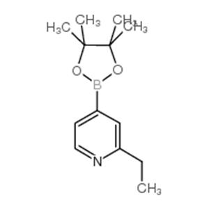 2-Ethyl-4-(4,4,5,5-tetramethyl-1,3,2-dioxaborolan-2-yl)pyridine