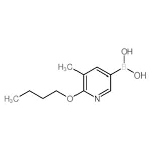 6-Butoxy-5-methylpyridine-3-boronic acid (contains varying amounts of Anhydride)
