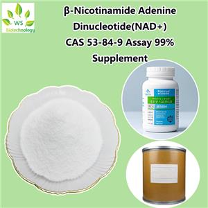 β-Nicotinamide Adenine Dinucleotide（NAD+）