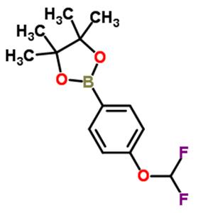 2-(4-(DIFLUOROMETHOXY)PHENYL)-4,4,5,5-TETRAMETHYL-1,3,2-DIOXABOROLANE