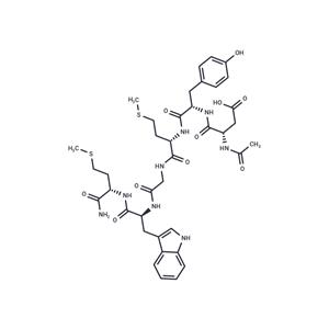 CCK (26-31) (non-sulfated)