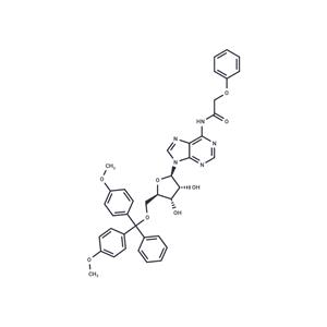 5'-O-(4,4'-Dimethoxytrityl)-N6-Phenoxyacetyl adenosine