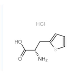 3-THIOPHEN-2-YL-L-ALANINE HCL