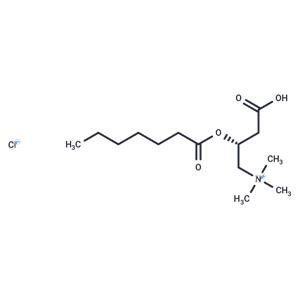 Heptanoyl-L-carnitine (chloride)