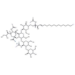 Ganglioside GM1 Mixture (ovine) (ammonium salt)