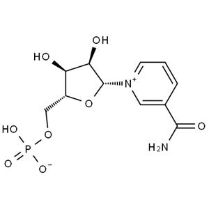 β-Nicotinamide Mononucleotide