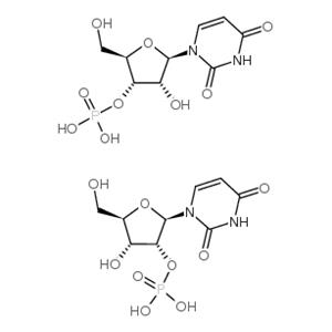 uridine 3'-(dihydrogen phosphate)
