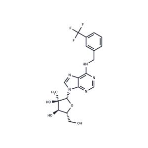 N6-(3-Trifluoromethylbenzyl)-2'-C-methyl adenosine