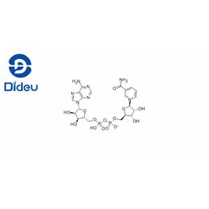 β-Nicotinamide adenine dinucleotide