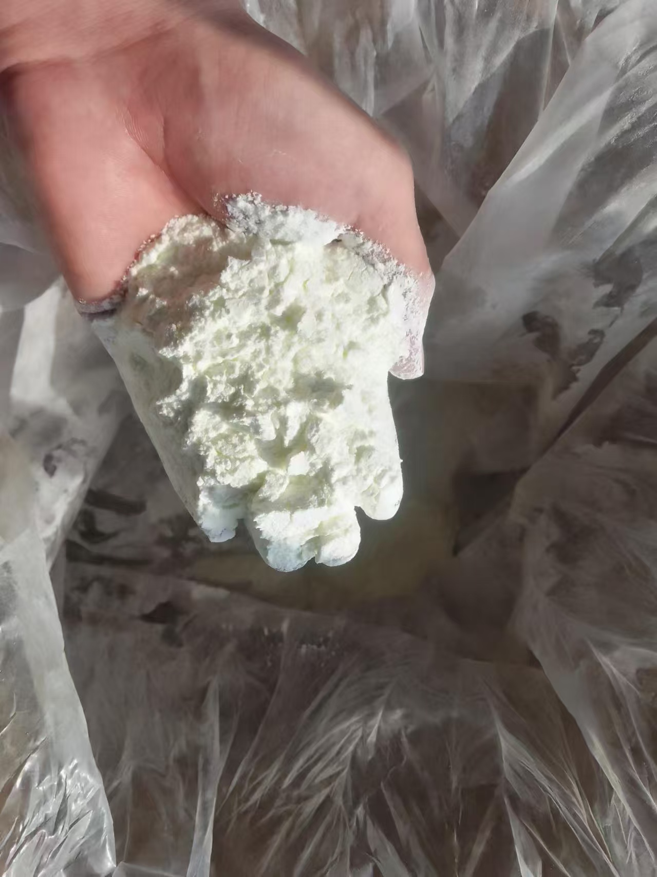 Testosterone Isocaproate