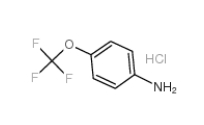 4-(TRIFLUOROMETHOXY)ANILINE HYDROCHLORIDE