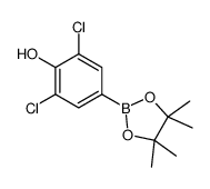 3,5-Dichloro-4-hydroxyphenylboronic acid pinacol ester