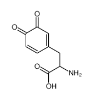 2-amino-3-(3,4-dioxocyclohexa-1,5-dien-1-yl)propanoic acid