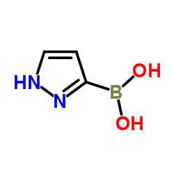 1H-Pyrazol-3-ylboronic acid