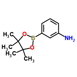 3-aminophenylboronic acid pinacol ester