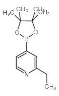 2-Ethyl-4-(4,4,5,5-tetramethyl-1,3,2-dioxaborolan-2-yl)pyridine