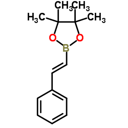 Trans-2-(4,4,5,5-tetramethyl-1,3,2-dioxaborolan-2-yl)styrene