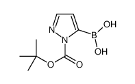 1-(tert-Butoxycarbonyl)-1H-pyrazol-5-ylboronic acid