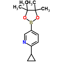 2-Cyclopropyl-5-(4,4,5,5-tetramethyl-1,3,2-dioxaborolan-2-yl)pyridine